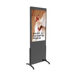 Indoor Kiosk