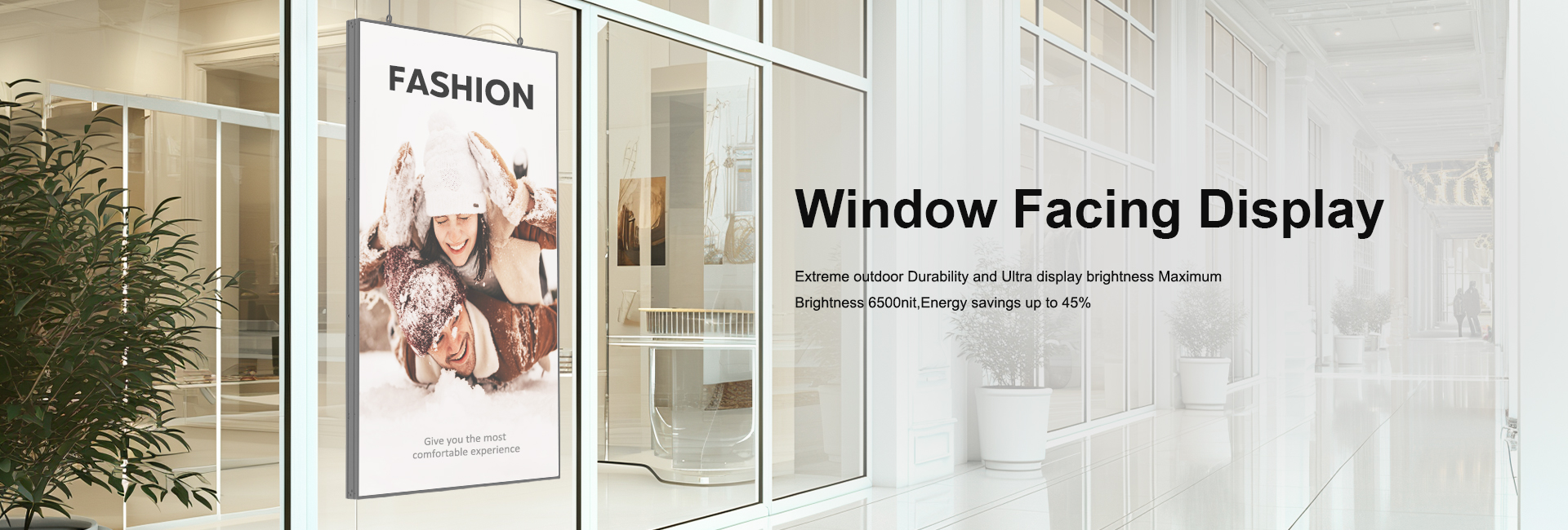 Window Facing Display