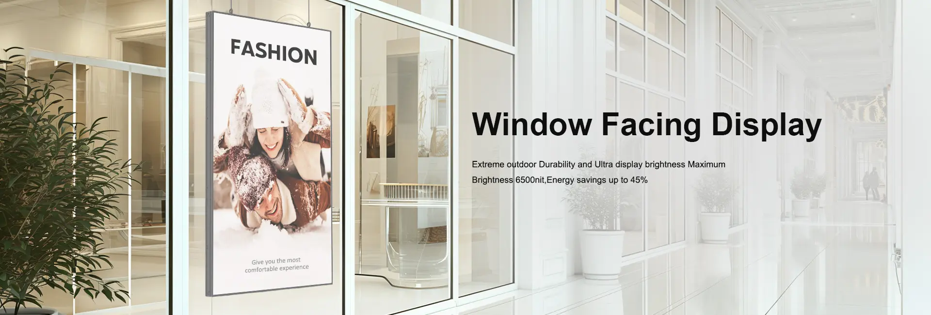 Window Facing Display